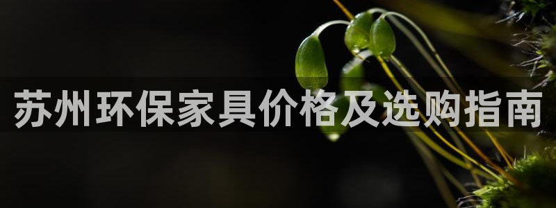 杏耀开户app下载