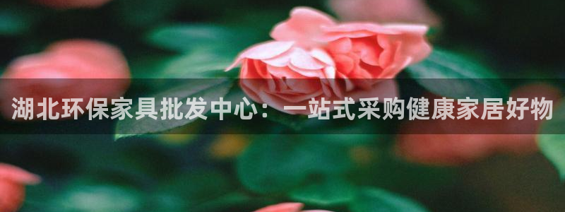 杏耀平台的专用通道