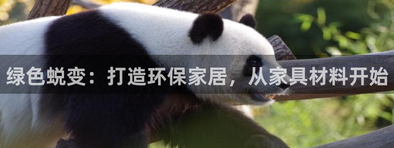 杏耀平台手机app