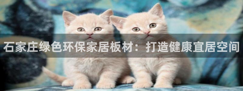 杏耀登入官网