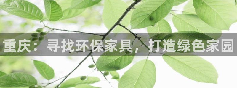 杏耀平台手机app