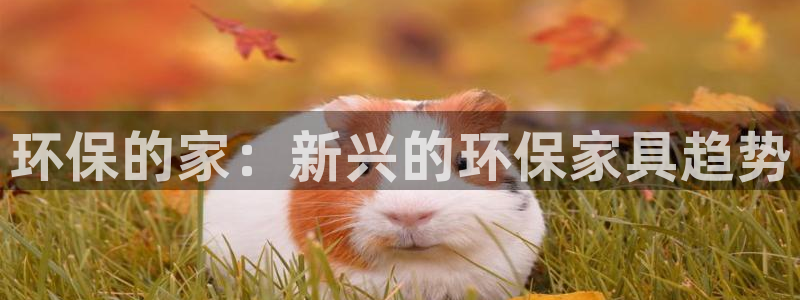 杏耀平台可以提款吗
