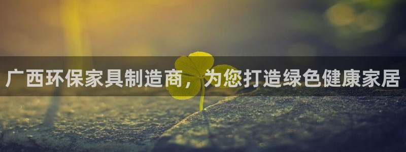 杏耀软件