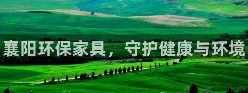 杏耀平台的专用通道