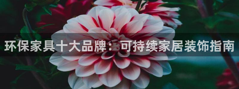杏耀平台官网