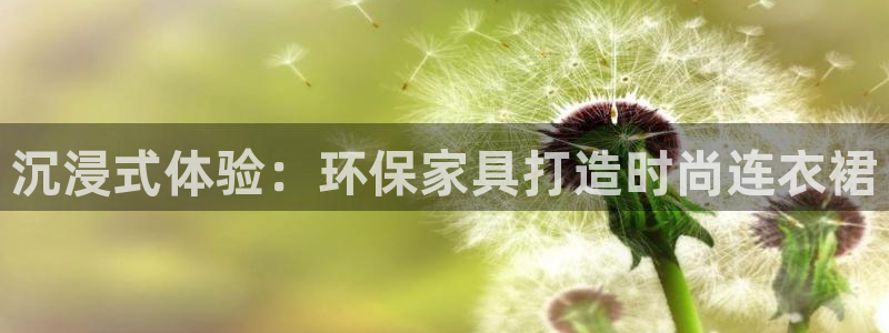 杏耀代理日工资多少