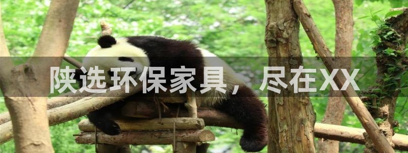 杏耀平台代理怎么赚钱