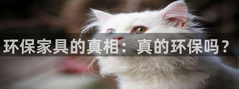 杏耀平台线路测速