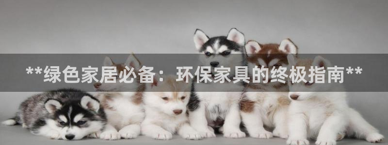 杏耀平台黑款