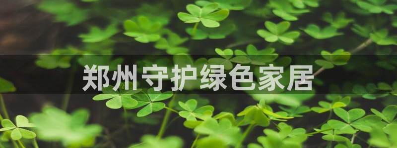 杏耀3代理