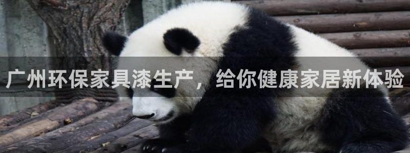杏耀平台代理怎么赚钱快