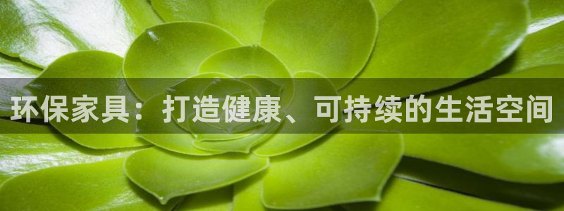 杏耀平台怎样