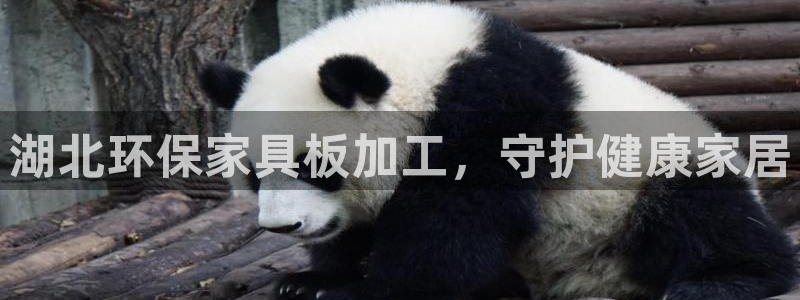 杏耀代理连接