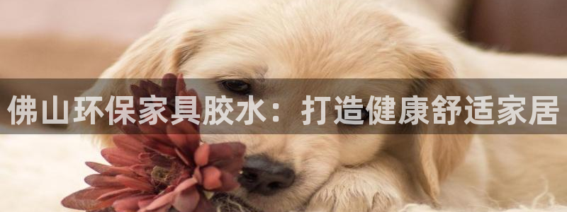 杏耀官网娱乐