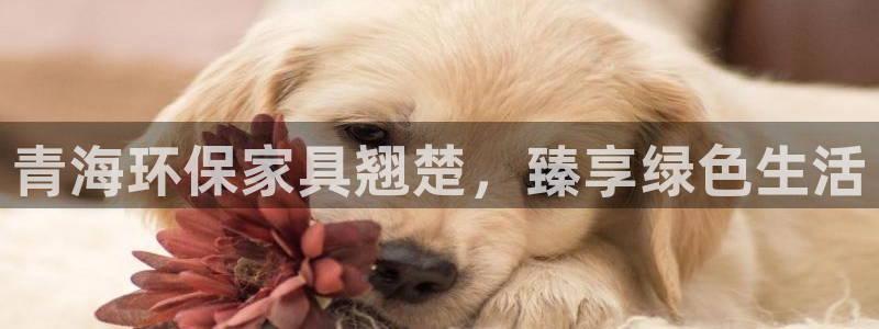 杏耀登陆网站