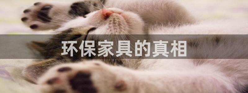 杏耀平台在哪里