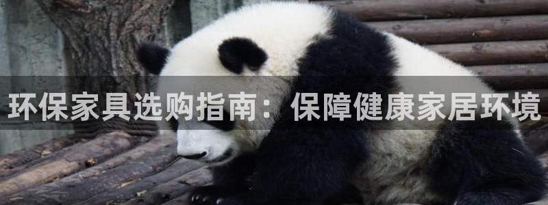 杏耀注册登录中心：环保家具选购指南：保障健康家居环境