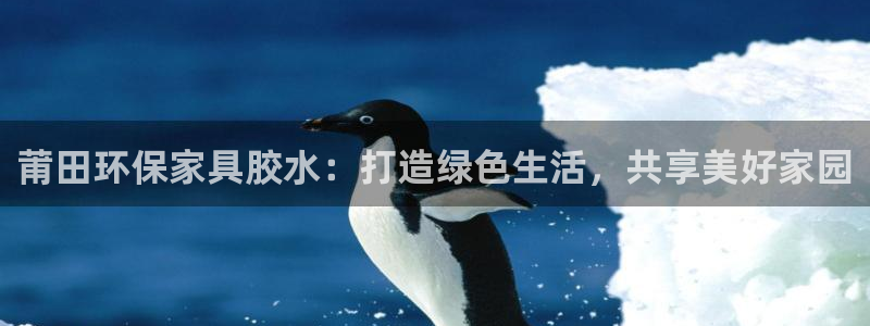 杏耀代理日工资多少