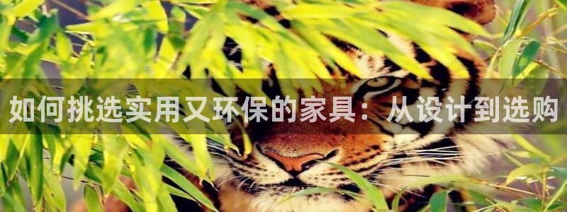 杏耀官方