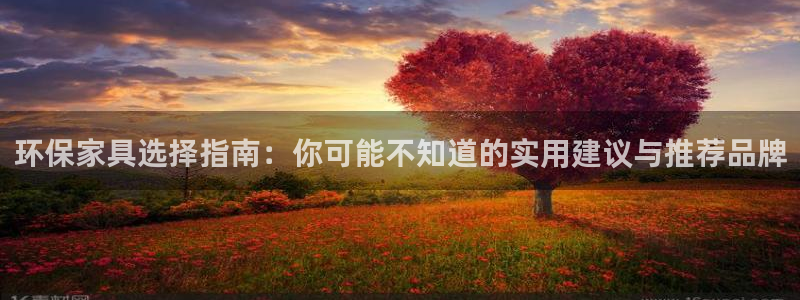 杏耀管网登录：环保家具选择指南：你可能不知道的实用建议与推荐