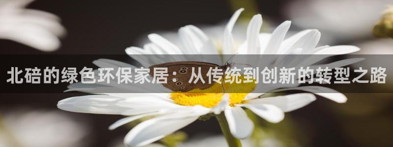 杏耀平台代理登录网址：北碚的绿色环保家居：从传统到创新的转型