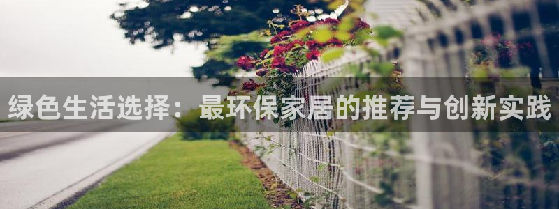 杏耀3代理：绿色生活选择：最环保家居的推荐与创新实践