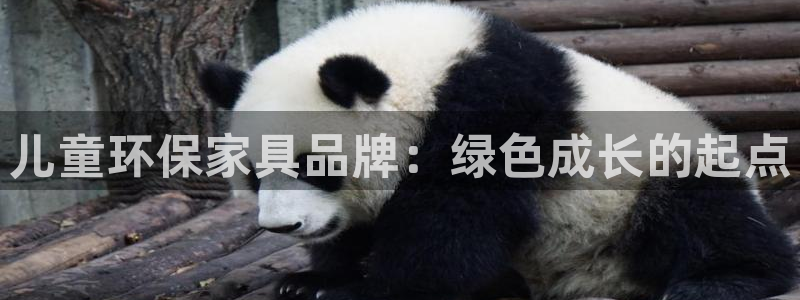 杏耀注册登录：儿童环保家具品牌：绿色成长的起点