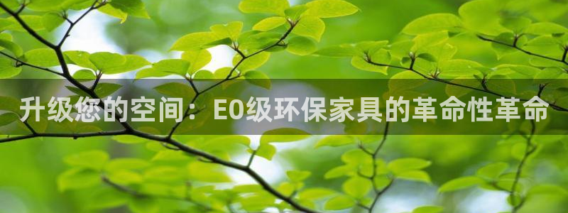 杏耀平台可以提款吗：升级您的空间：E0级环保家具的革命性革命