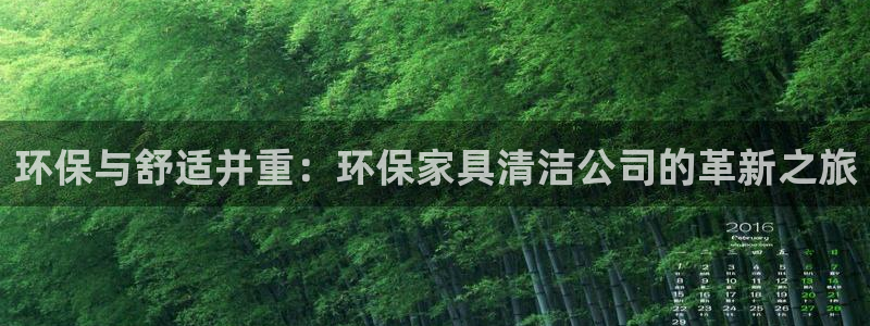 杏耀平台到底能玩吗：环保与舒适并重：环保家具清洁公司的革新之