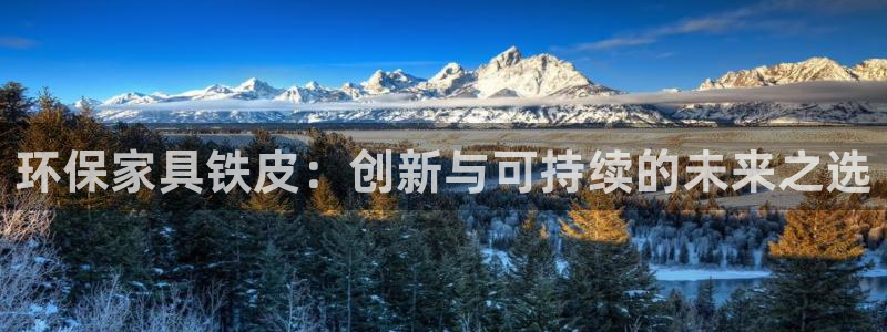 杏耀平台代理登录网址：环保家具铁皮：创新与可持续的未来之选