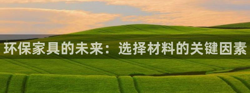 杏耀总代