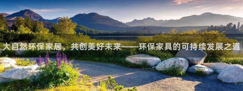 杏耀3注册：大自然环保家居，共创美好未来——环保家具的可持续