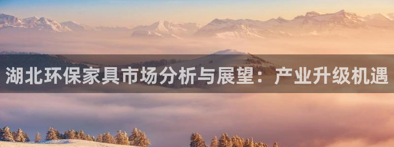 杏耀平台代理：湖北环保家具市场分析与展望：产业升级机遇