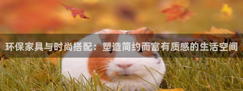 杏耀平台官方登陆