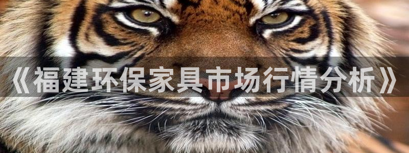 杏耀代理主管qq：《福建环保家具市场行情分析》