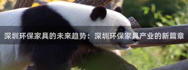 杏耀代理登录中心怎么进：深圳环保家具的未来趋势：深圳环保家具