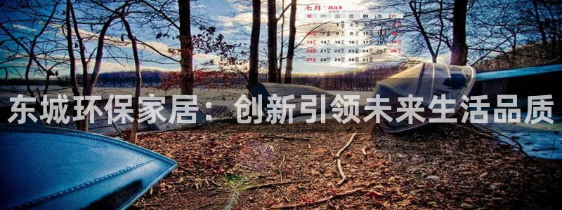 杏耀平台专用通道：东城环保家居：创新引领未来生活品质
