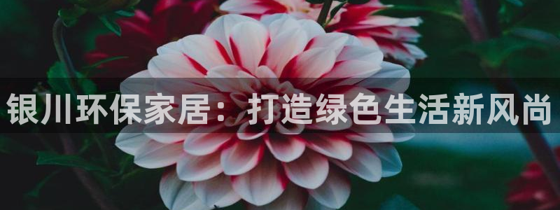 杏耀登陆：银川环保家居：打造绿色生活新风尚