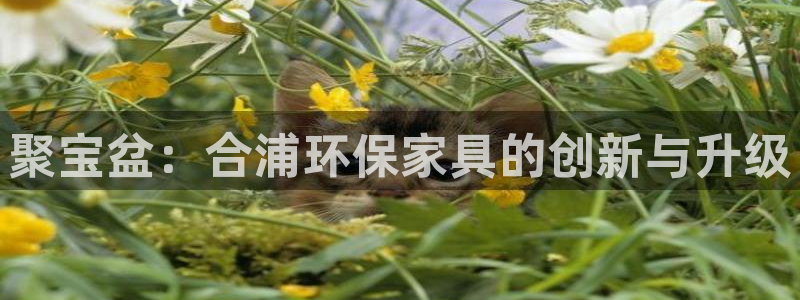 杏耀平台几年了