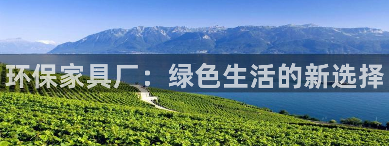 杏耀平台代理登录网址是什么：环保家具厂：绿色生活的新选择