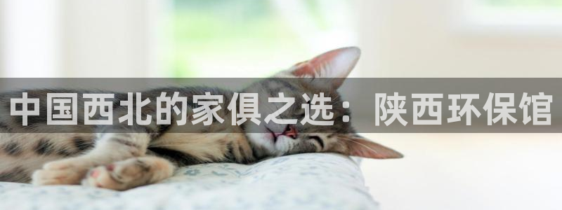 杏耀手机客户端：中国西北的家俱之选：陕西环保馆