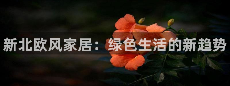 杏耀是什么平台：新北欧风家居：绿色生活的新趋势