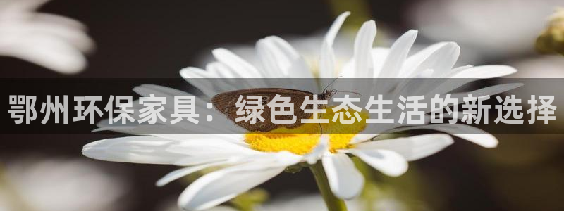 杏耀平台服务中心怎么样：鄂州环保家具：绿色生态生活的新选择