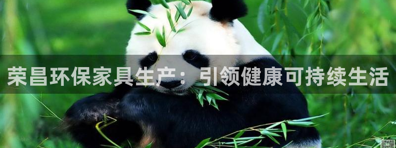 杏耀登录测速：荣昌环保家具生产：引领健康可持续生活