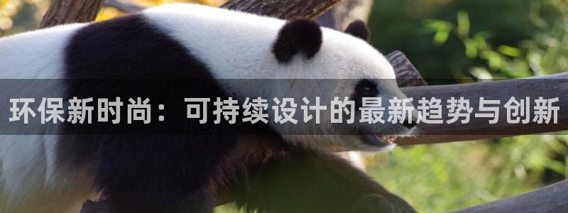 杏耀管网登录：环保新时尚：可持续设计的最新趋势与创新