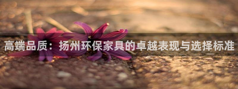 杏耀登陆网站：高端品质：扬州环保家具的卓越表现与选择标准
